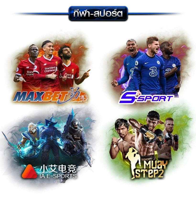  511area banner-sport